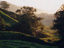 Cameron Highlands 3
